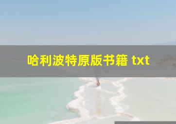 哈利波特原版书籍 txt